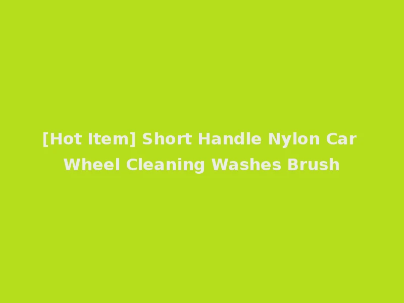 [Hot Item] Short Handle Nylon Car Wheel Cleaning Washes Brush