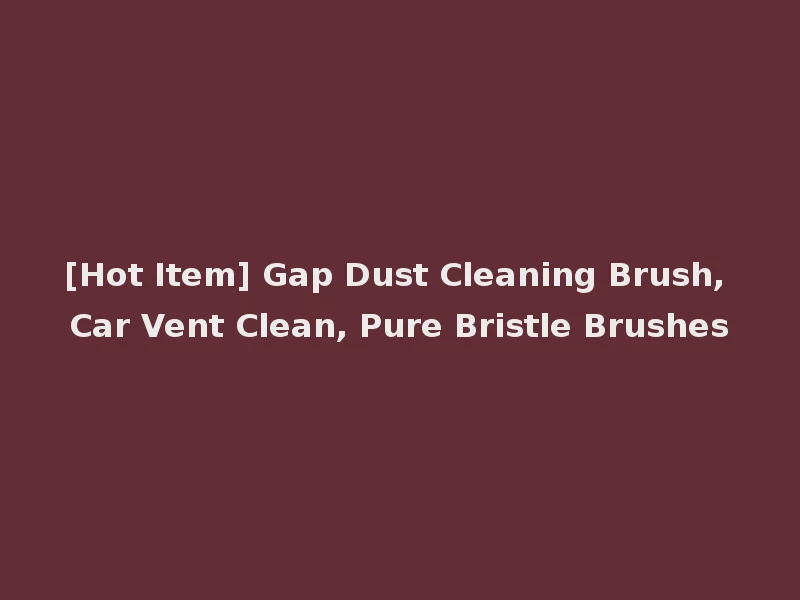 [Hot Item] Gap Dust Cleaning Brush, Car Vent Clean, Pure Bristle Brushes