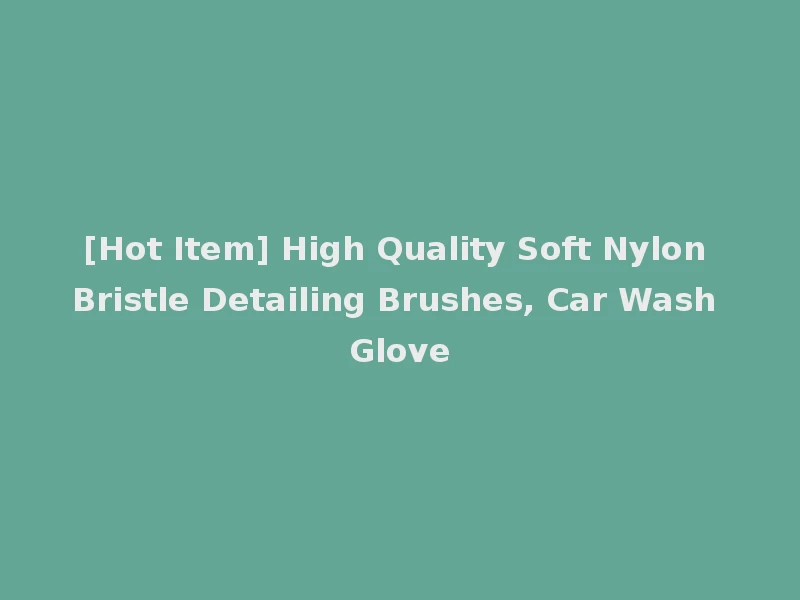 [Hot Item] High Quality Soft Nylon Bristle Detailing Brushes, Car Wash Glove