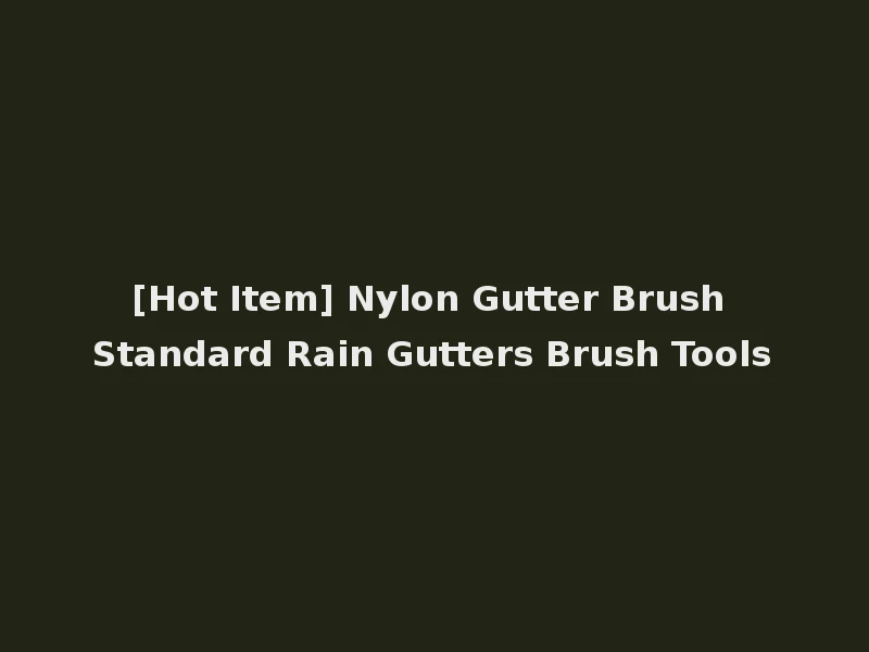 [Hot Item] Nylon Gutter Brush Standard Rain Gutters Brush Tools
