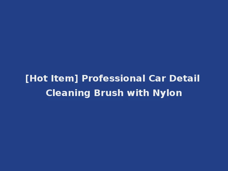 [Hot Item] Professional Car Detail Cleaning Brush with Nylon