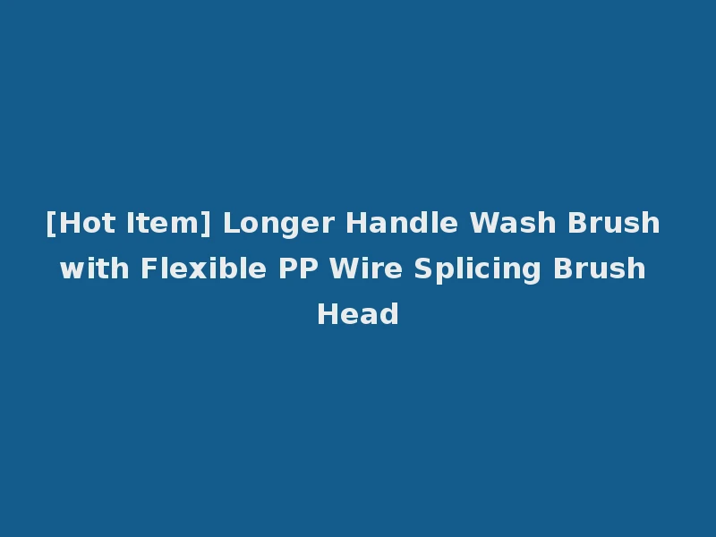[Hot Item] Longer Handle Wash Brush with Flexible PP Wire Splicing Brush Head