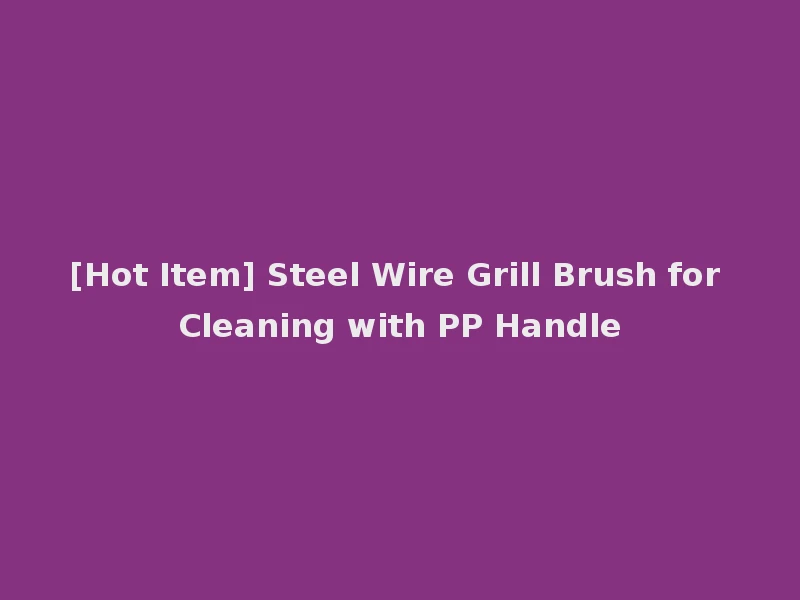 [Hot Item] Steel Wire Grill Brush for Cleaning with PP Handle