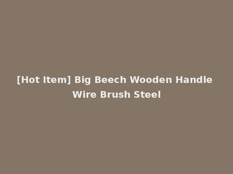 [Hot Item] Big Beech Wooden Handle Wire Brush Steel