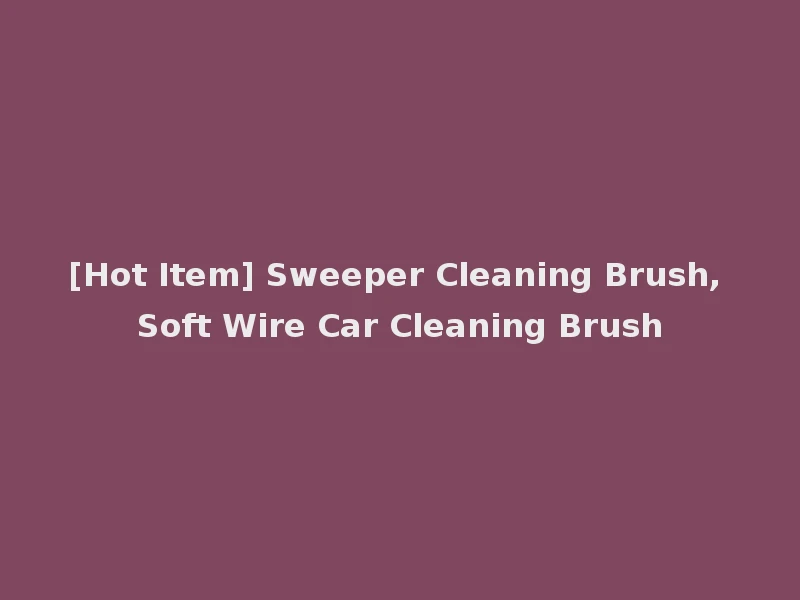 [Hot Item] Sweeper Cleaning Brush, Soft Wire Car Cleaning Brush