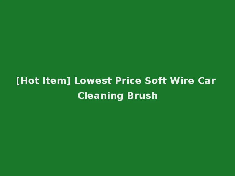 [Hot Item] Lowest Price Soft Wire Car Cleaning Brush