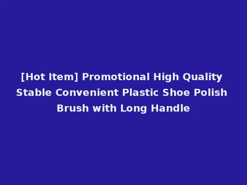 [Hot Item] Promotional High Quality Stable Convenient Plastic Shoe Polish Brush with Long Handle