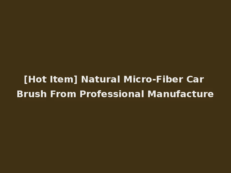[Hot Item] Natural Micro-Fiber Car Brush From Professional Manufacture