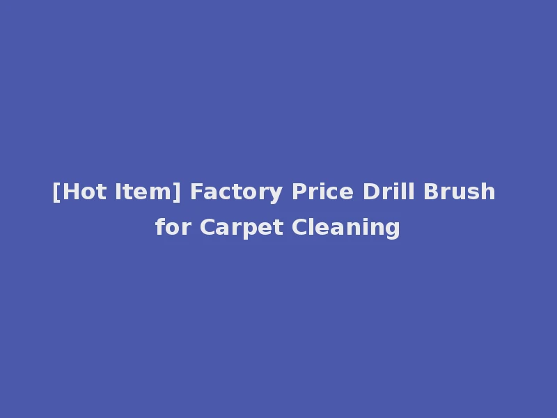 [Hot Item] Factory Price Drill Brush for Carpet Cleaning