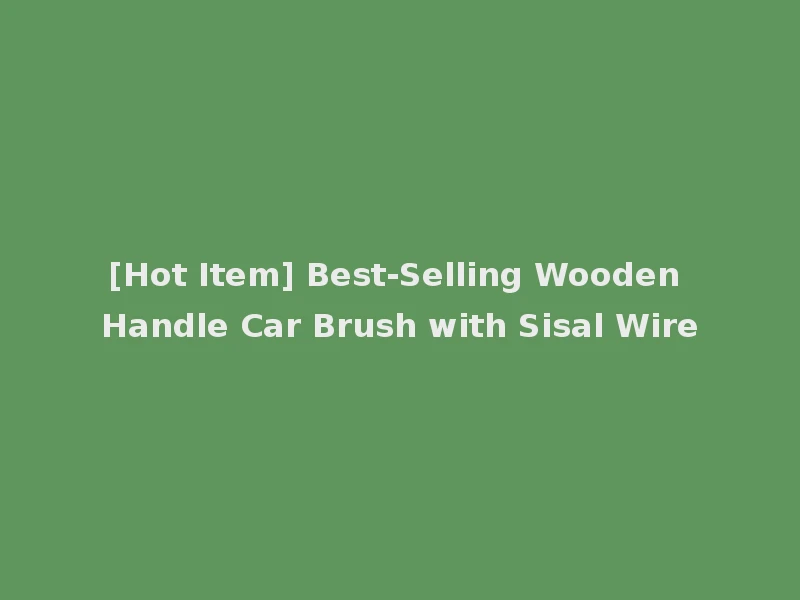 [Hot Item] Best-Selling Wooden Handle Car Brush with Sisal Wire