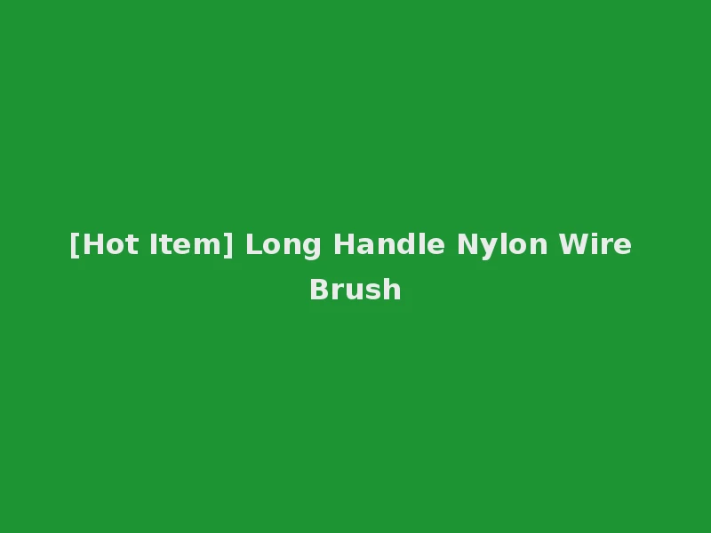[Hot Item] Long Handle Nylon Wire Brush