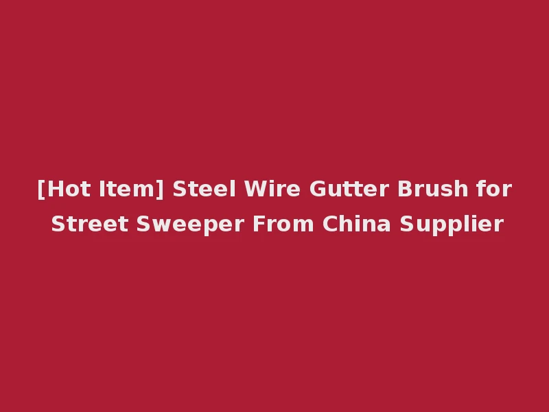 [Hot Item] Steel Wire Gutter Brush for Street Sweeper From China Supplier