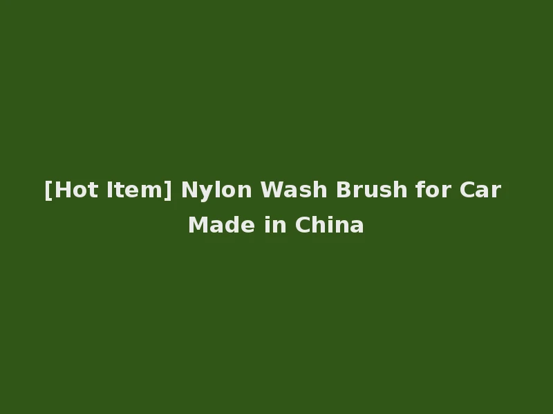[Hot Item] Nylon Wash Brush for Car Made in China