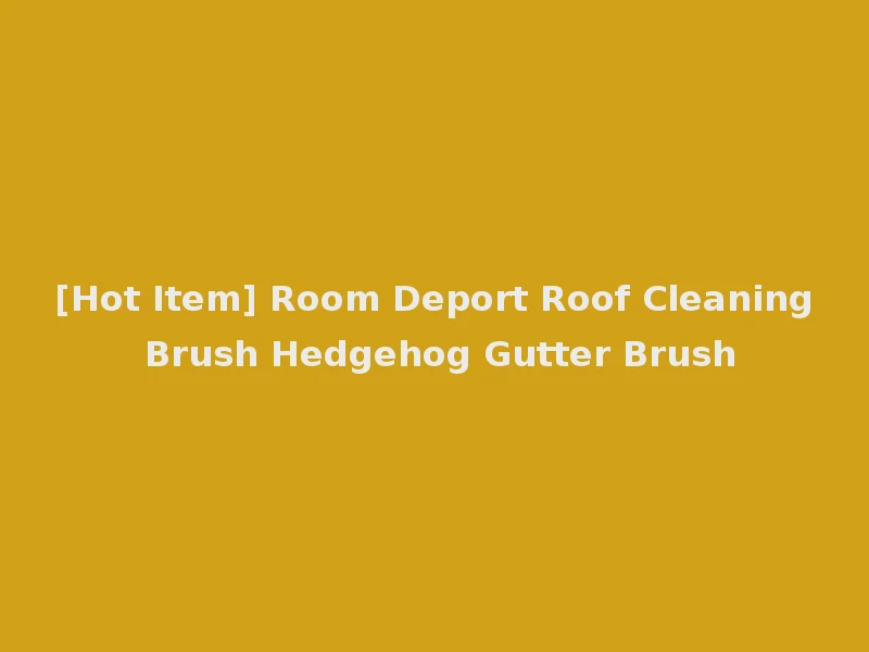 [Hot Item] Room Deport Roof Cleaning Brush Hedgehog Gutter Brush
