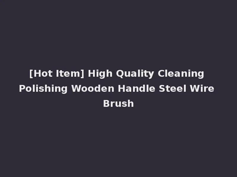 [Hot Item] High Quality Cleaning Polishing Wooden Handle Steel Wire Brush