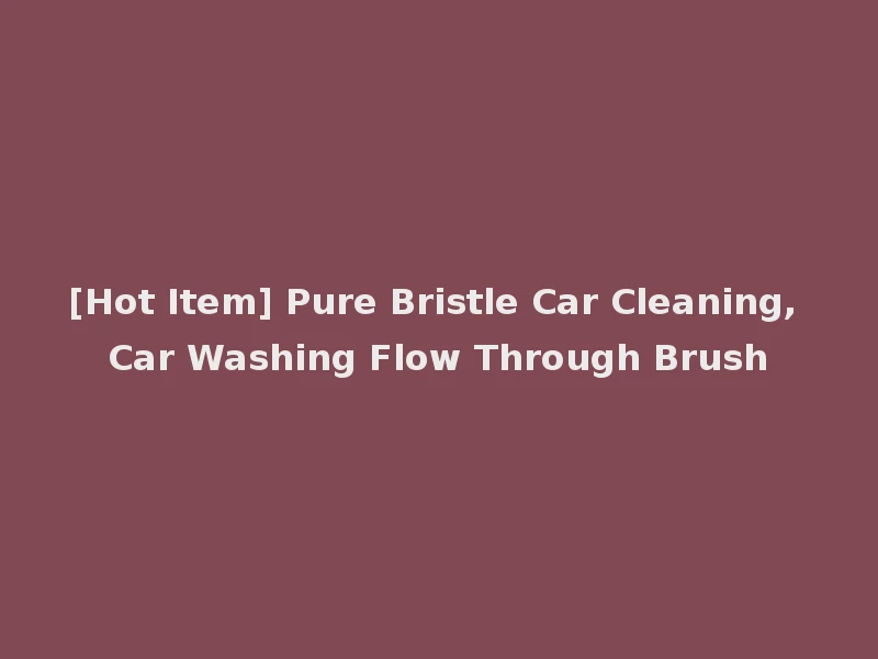 [Hot Item] Pure Bristle Car Cleaning, Car Washing Flow Through Brush