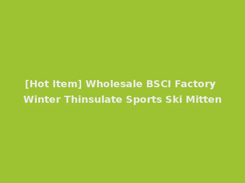 [Hot Item] Wholesale BSCI Factory Winter Thinsulate Sports Ski Mitten