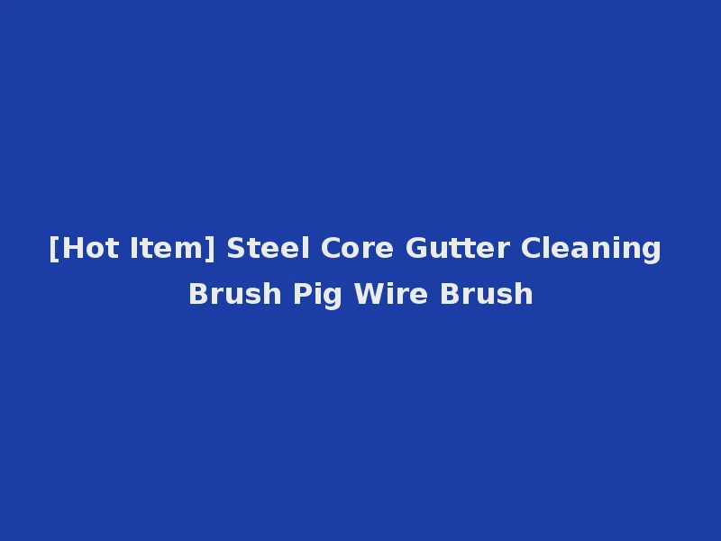 [Hot Item] Steel Core Gutter Cleaning Brush Pig Wire Brush