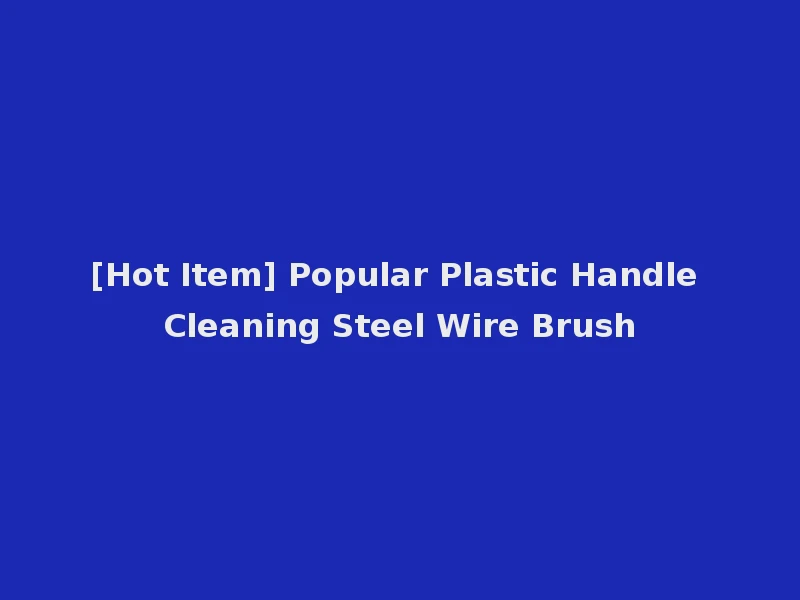 [Hot Item] Popular Plastic Handle Cleaning Steel Wire Brush