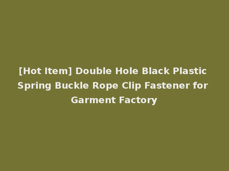 [Hot Item] Double Hole Black Plastic Spring Buckle Rope Clip Fastener for Garment Factory