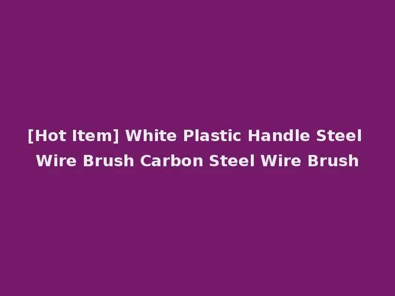 [Hot Item] White Plastic Handle Steel Wire Brush Carbon Steel Wire Brush