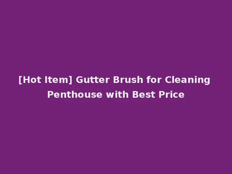 [Hot Item] Gutter Brush for Cleaning Penthouse with Best Price