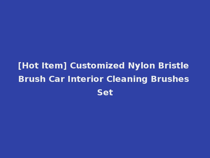 [Hot Item] Customized Nylon Bristle Brush Car Interior Cleaning Brushes Set