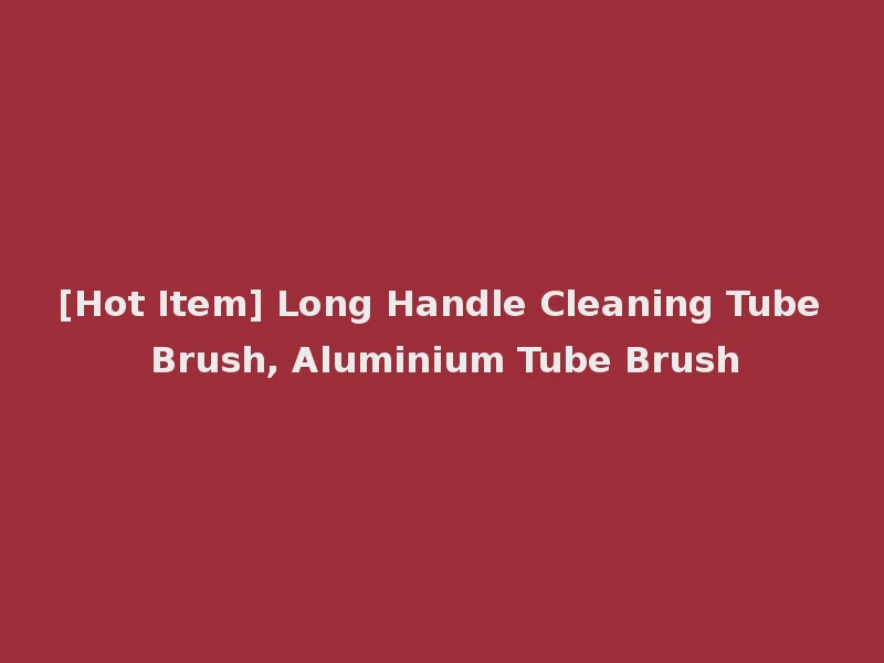 [Hot Item] Long Handle Cleaning Tube Brush, Aluminium Tube Brush