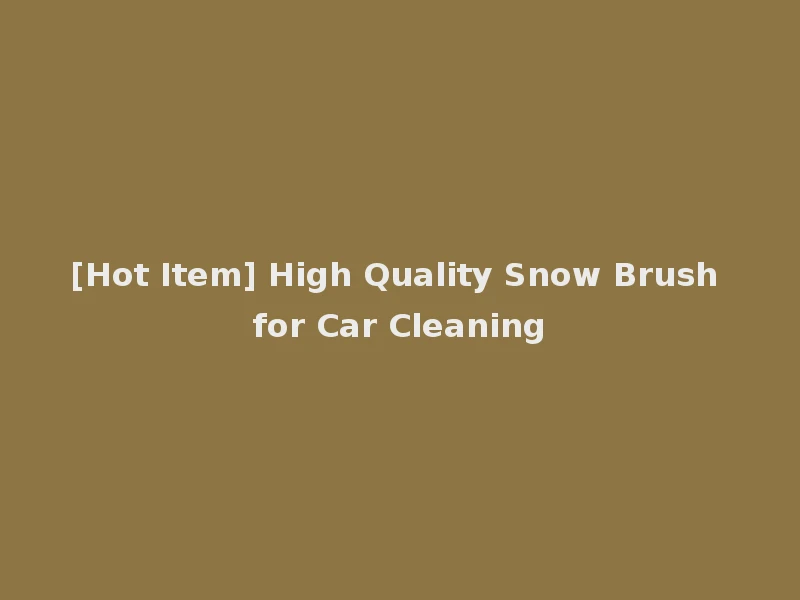 [Hot Item] High Quality Snow Brush for Car Cleaning