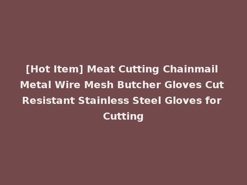 [Hot Item] Meat Cutting Chainmail Metal Wire Mesh Butcher Gloves Cut Resistant Stainless Steel Gloves for Cutting