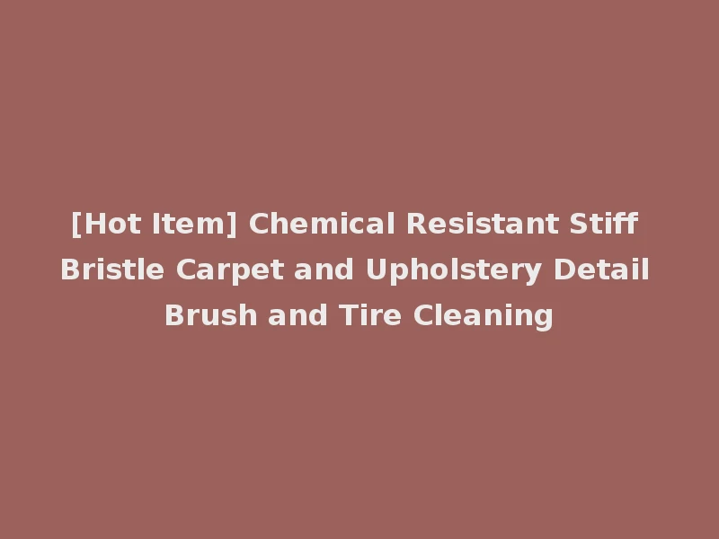 [Hot Item] Chemical Resistant Stiff Bristle Carpet and Upholstery Detail Brush and Tire Cleaning