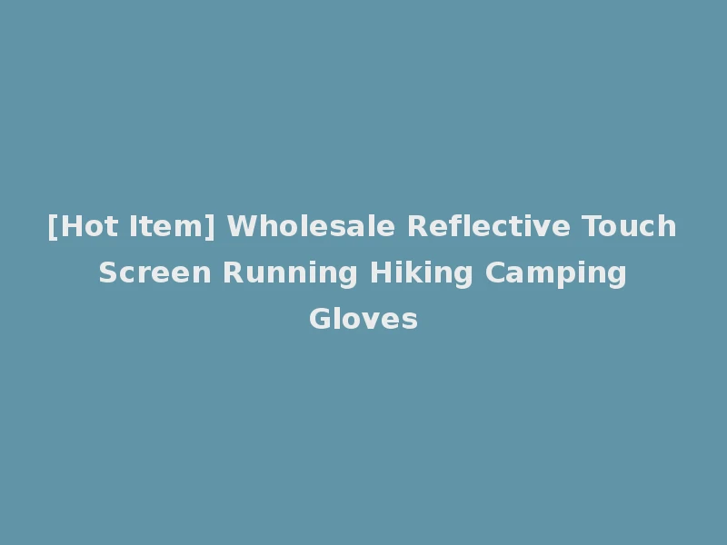 [Hot Item] Wholesale Reflective Touch Screen Running Hiking Camping Gloves