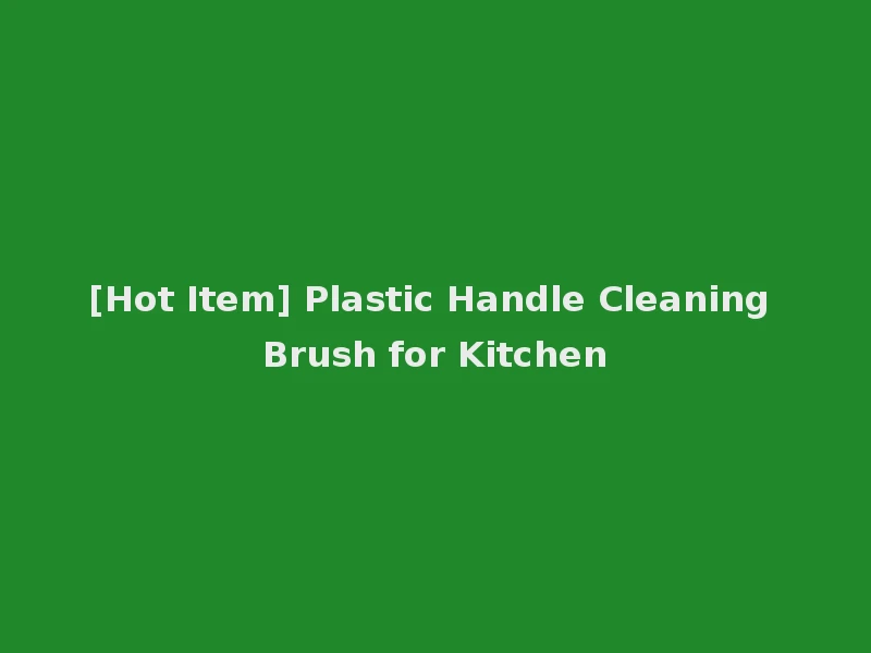 [Hot Item] Plastic Handle Cleaning Brush for Kitchen