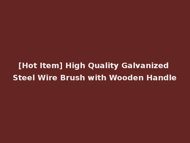 [Hot Item] High Quality Galvanized Steel Wire Brush with Wooden Handle