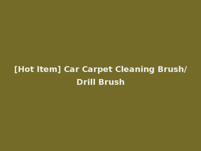 [Hot Item] Car Carpet Cleaning Brush/Drill Brush