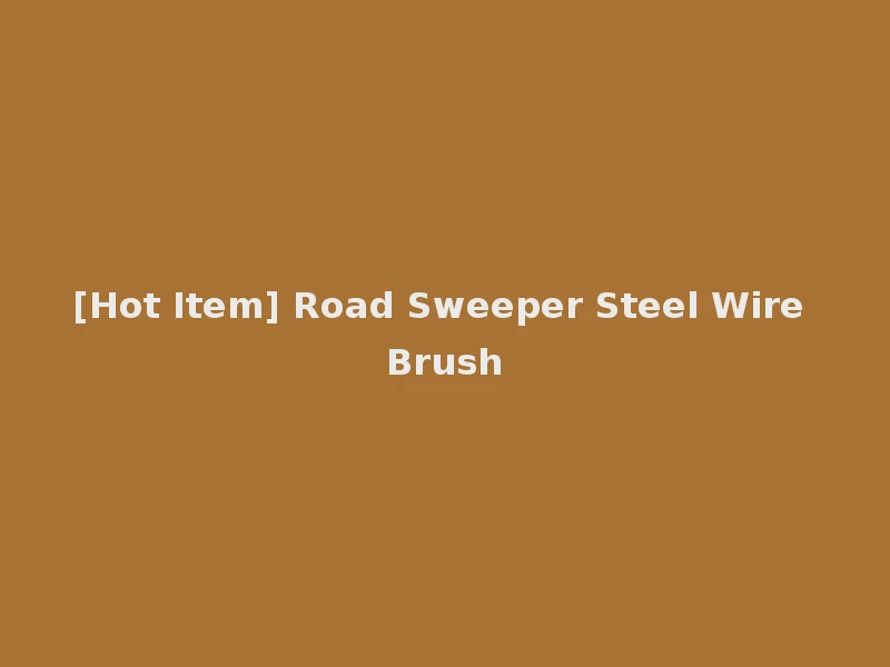 [Hot Item] Road Sweeper Steel Wire Brush