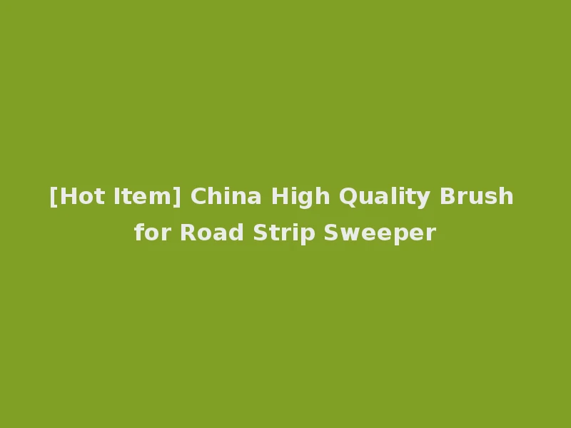[Hot Item] China High Quality Brush for Road Strip Sweeper