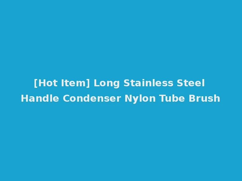 [Hot Item] Long Stainless Steel Handle Condenser Nylon Tube Brush