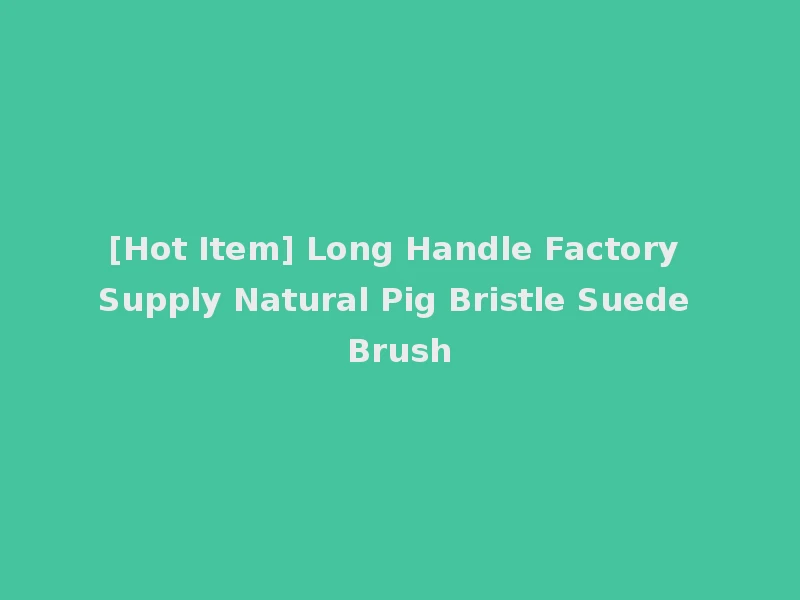 [Hot Item] Long Handle Factory Supply Natural Pig Bristle Suede Brush