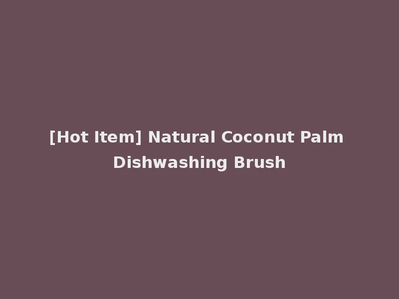 [Hot Item] Natural Coconut Palm Dishwashing Brush