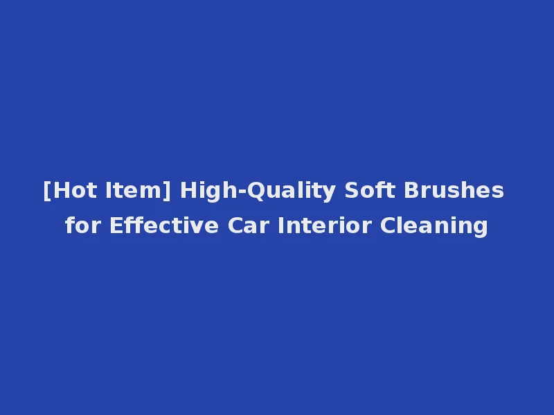 [Hot Item] High-Quality Soft Brushes for Effective Car Interior Cleaning
