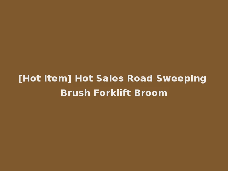 [Hot Item] Hot Sales Road Sweeping Brush Forklift Broom