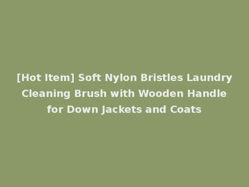[Hot Item] Soft Nylon Bristles Laundry Cleaning Brush with Wooden Handle for Down Jackets and Coats