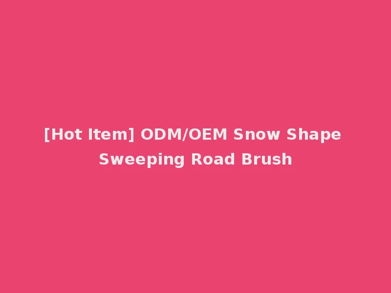 [Hot Item] ODM/OEM Snow Shape Sweeping Road Brush
