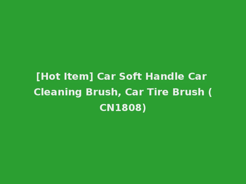 [Hot Item] Car Soft Handle Car Cleaning Brush, Car Tire Brush (CN1808)