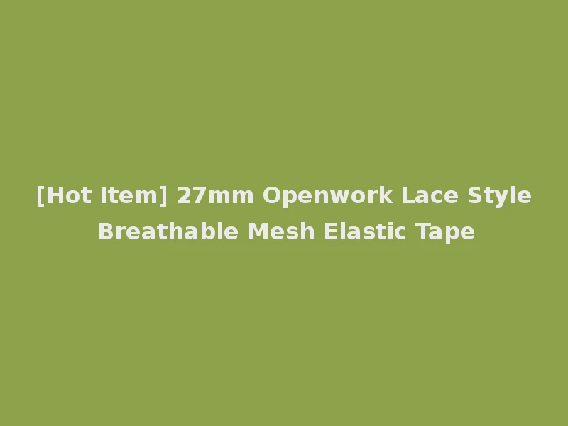 [Hot Item] 27mm Openwork Lace Style Breathable Mesh Elastic Tape