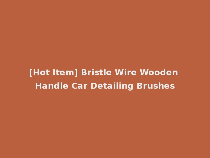 [Hot Item] Bristle Wire Wooden Handle Car Detailing Brushes