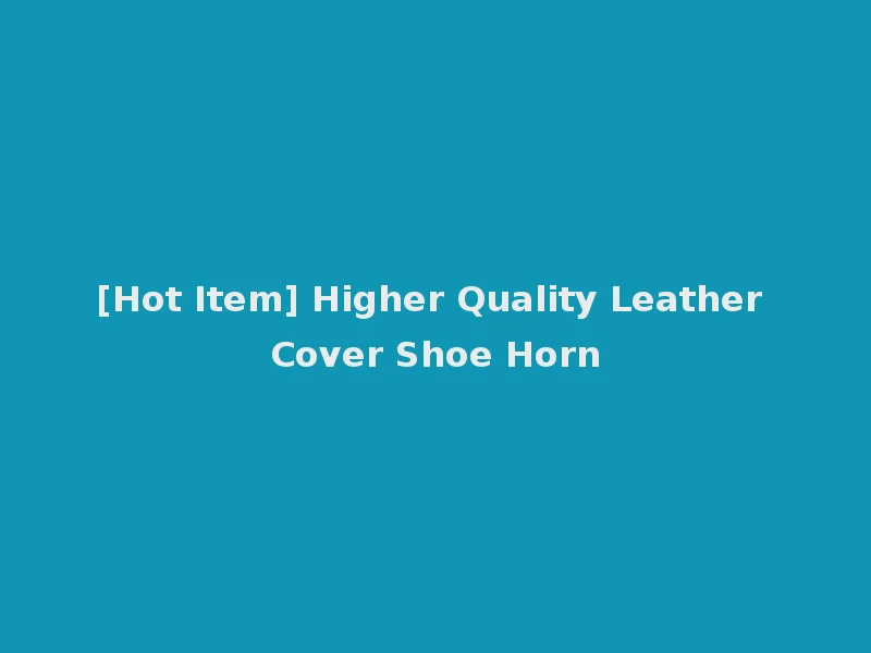 [Hot Item] Higher Quality Leather Cover Shoe Horn
