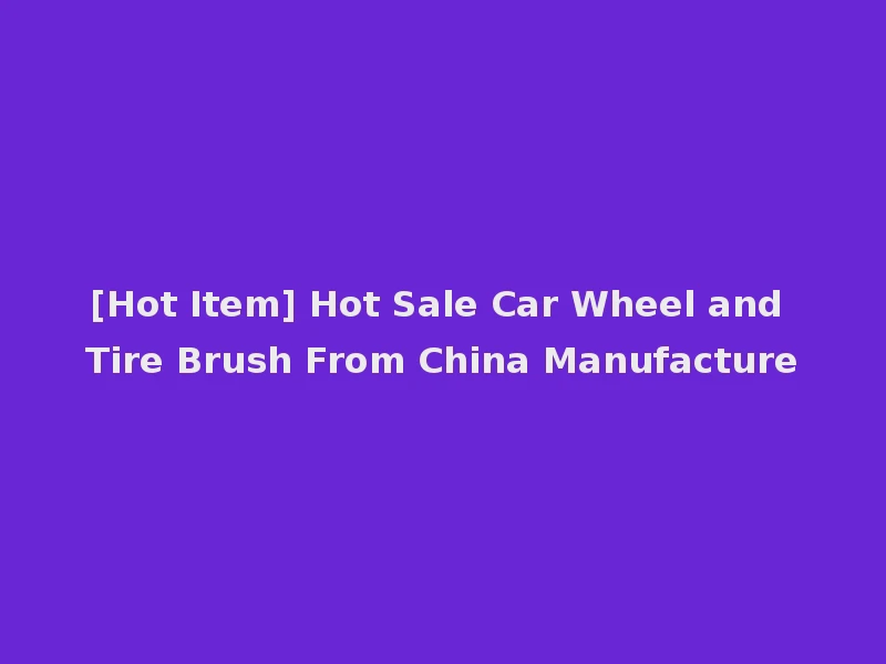 [Hot Item] Hot Sale Car Wheel and Tire Brush From China Manufacture