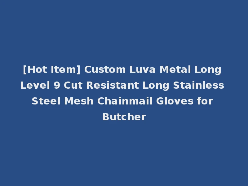 [Hot Item] Custom Luva Metal Long Level 9 Cut Resistant Long Stainless Steel Mesh Chainmail Gloves for Butcher